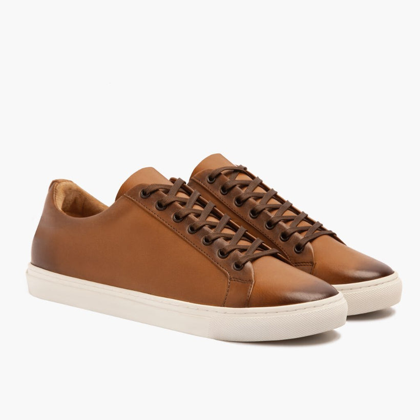 Premier Low Top Toffee Leather Sneakers pour Homme